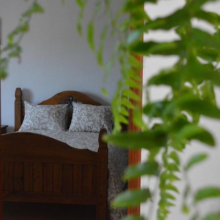 Casa Las Pardelas Icod De Los Vinos Luaran gambar